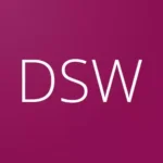 Depok Single Window - DSW